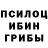 Псилоцибиновые грибы Psilocybe Light English
