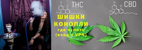 apvp Бородино