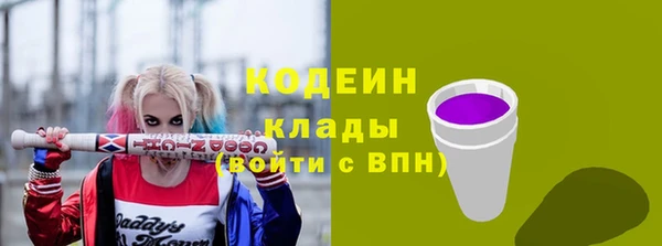apvp Бородино