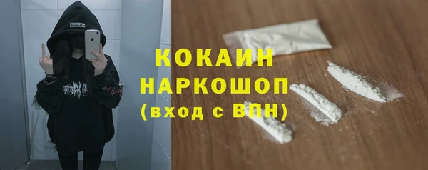 apvp Бородино