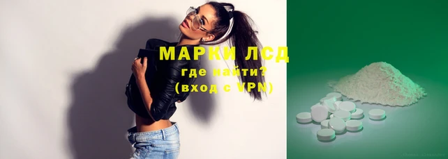 apvp Бородино