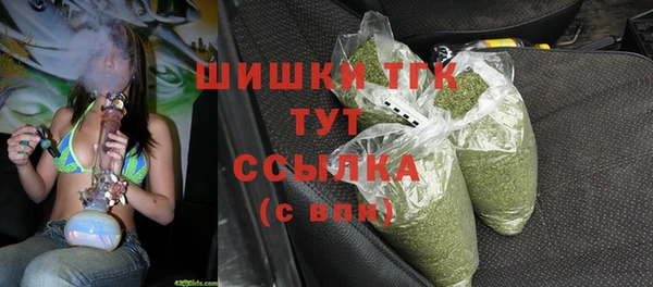 крисы Бугульма
