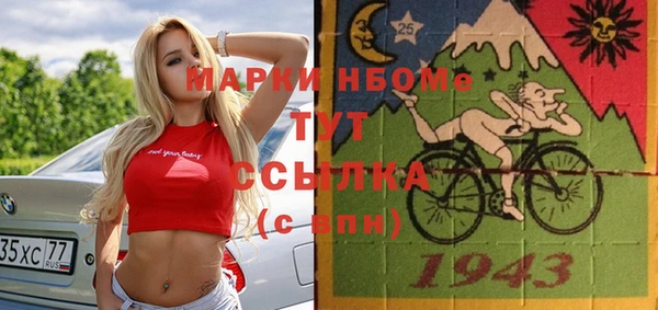 apvp Бородино