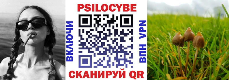 Псилоцибиновые грибы мухоморы  закладка  Саратов 
